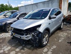 Salvage cars for sale at Bridgeton, MO auction: 2017 Ford Escape SE