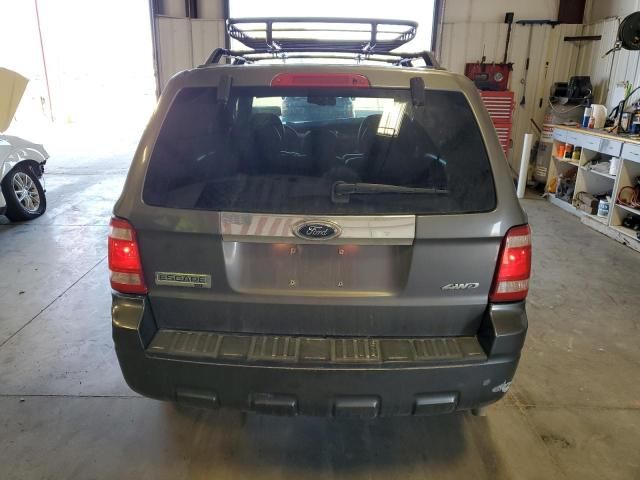 2009 Ford Escape XLT