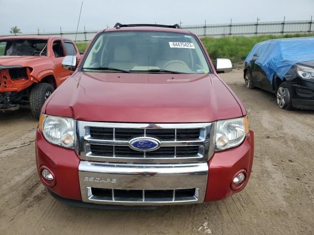 2011 Ford Escape Limited