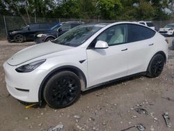 Salvage cars for sale from Copart Cicero, IN: 2020 Tesla Model Y