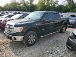 Ford f150 Supercrew Vehiculos salvage en venta: 2013 Ford F150 Supercrew