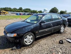 Nissan Altima salvage cars for sale: 2001 Nissan Altima XE