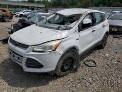 Salvage cars for sale at Memphis, TN auction: 2016 Ford Escape S