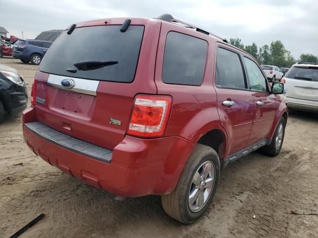 2011 Ford Escape Limited