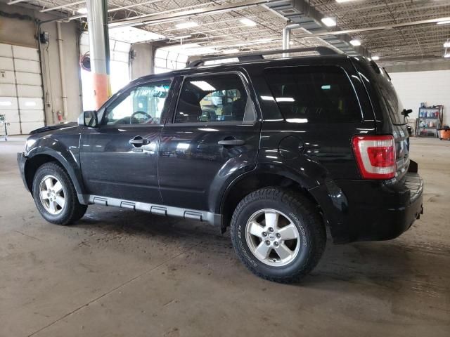 2010 Ford Escape XLT