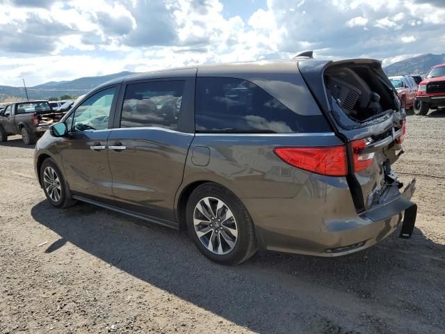 2023 Honda Odyssey EXL