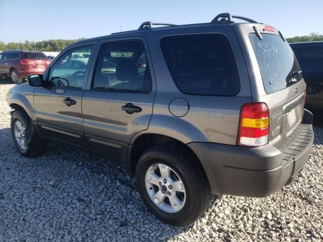 2005 Ford Escape XLT