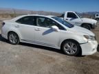 2010 Lexus HS 250H