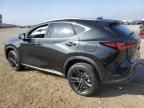 2025 Lexus NX 450H Luxury