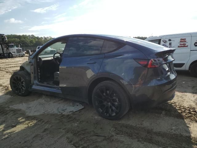 2020 Tesla Model Y