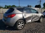 2010 Nissan Murano S