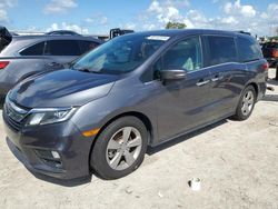 2019 Honda Odyssey EXL en venta en Riverview, FL