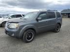 2011 Honda Pilot EXL