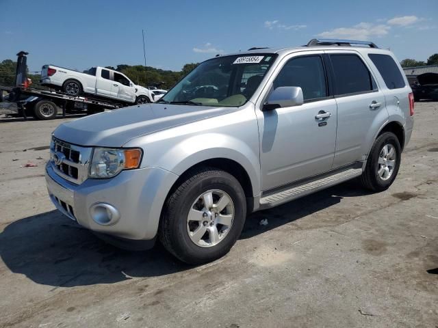 2010 Ford Escape Limited