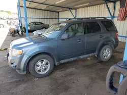 Salvage cars for sale at Colorado Springs, CO auction: 2010 Ford Escape XLT