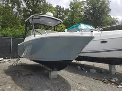 Pro-Line salvage cars for sale: 2019 Pro-Line Boat