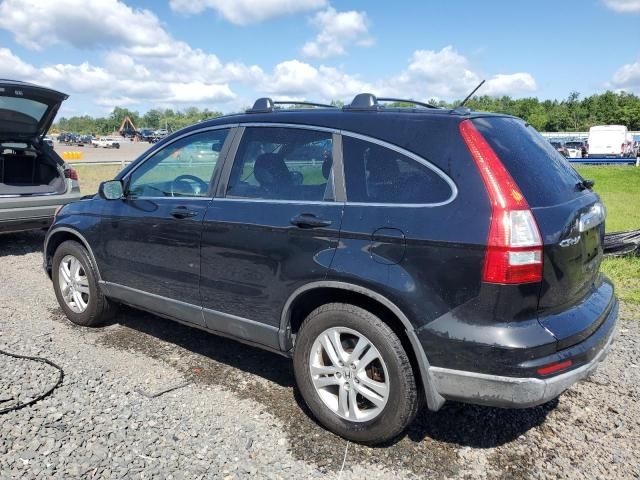 2010 Honda CR-V EXL