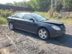 2009 Chevrolet Malibu 2LT