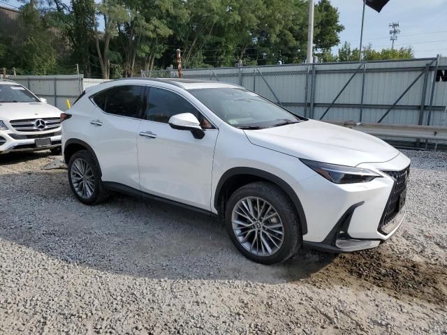 2024 Lexus NX 350 Luxury