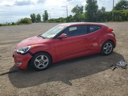 Salvage cars for sale at Montreal Est, QC auction: 2014 Hyundai Veloster