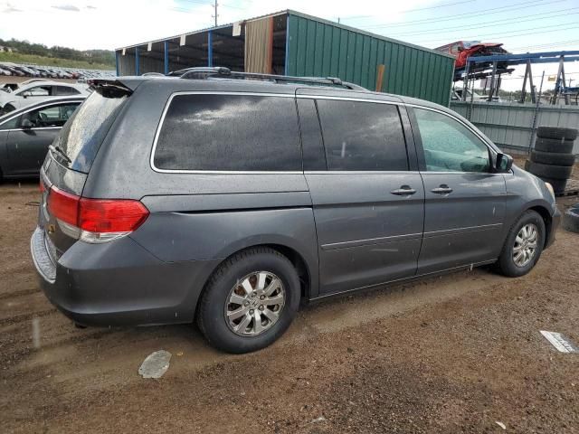 2010 Honda Odyssey EXL