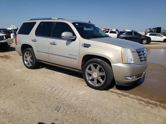 2010 Cadillac Escalade Premium