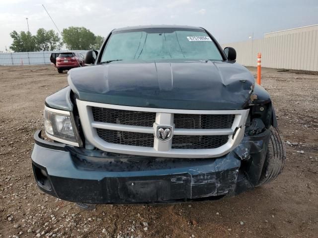 2011 Dodge Dakota SLT