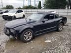 2005 Ford Mustang