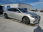 2024 Lexus ES 300H Base