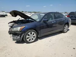 Honda Accord exl salvage cars for sale: 2009 Honda Accord EXL