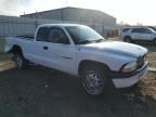 2001 Dodge Dakota