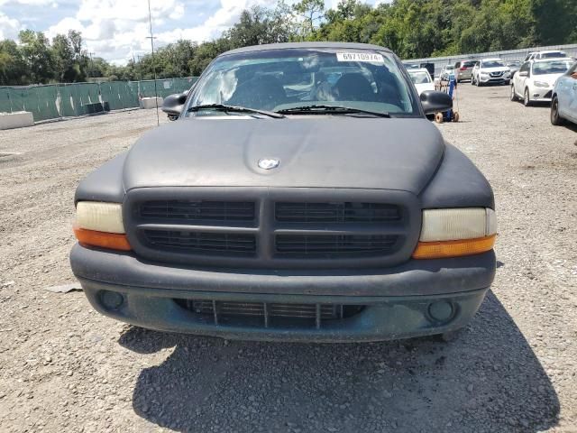 1998 Dodge Dakota