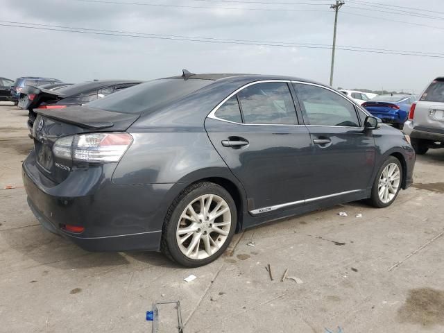 2010 Lexus HS 250H