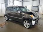 2010 KIA Soul +