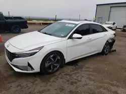 Salvage cars for sale from Copart Albuquerque, NM: 2023 Hyundai Elantra Limited