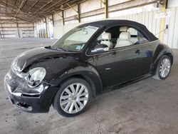 Volkswagen Beetle salvage cars for sale: 2008 Volkswagen New Beetle Convertible SE