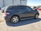 2009 Mercedes-Benz ML 350