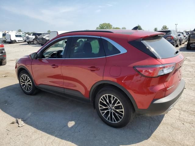 2021 Ford Escape Titanium