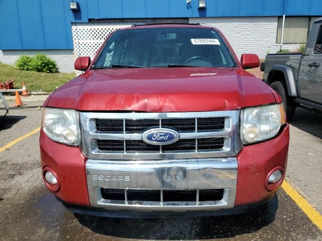 2010 Ford Escape Limited