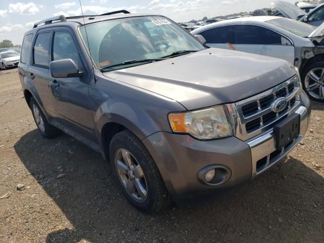 2009 Ford Escape Limited