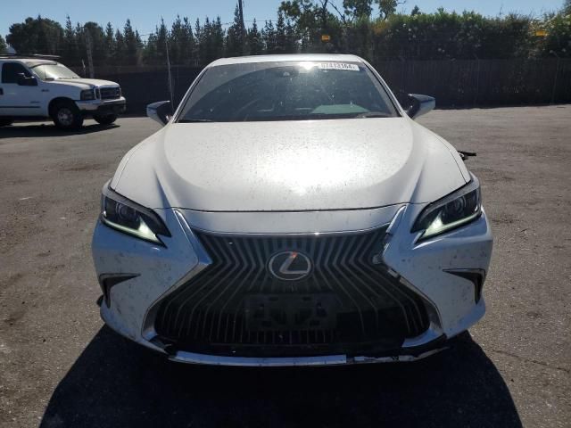 2019 Lexus ES 350