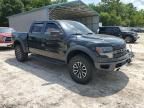 2013 Ford F150 SVT Raptor