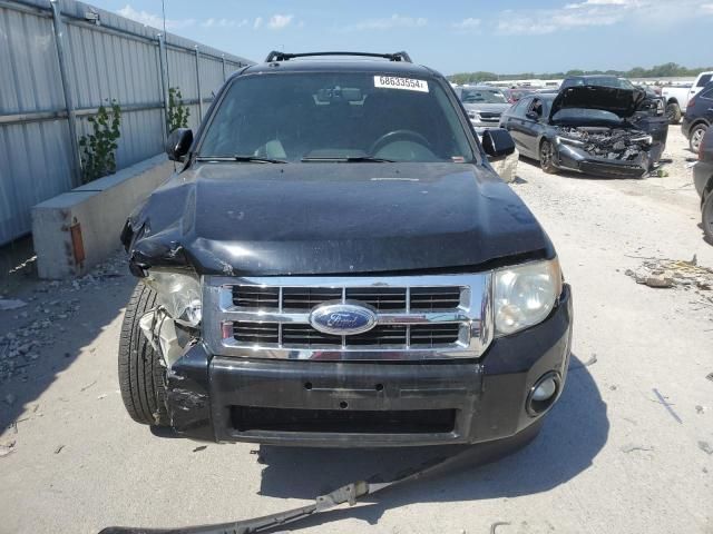 2010 Ford Escape Limited