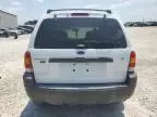 2006 Ford Escape XLT