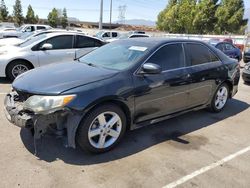 Salvage cars for sale at Rancho Cucamonga, CA auction: 2013 Toyota Camry L