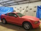 2005 Ford Mustang