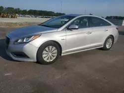 2017 Hyundai Sonata Hybrid en venta en Dunn, NC