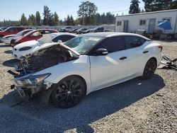 Nissan Vehiculos salvage en venta: 2017 Nissan Maxima 3.5S