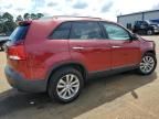 2011 KIA Sorento EX