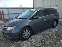 Honda Vehiculos salvage en venta: 2016 Honda Odyssey SE